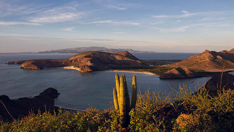 beaches visit la paz