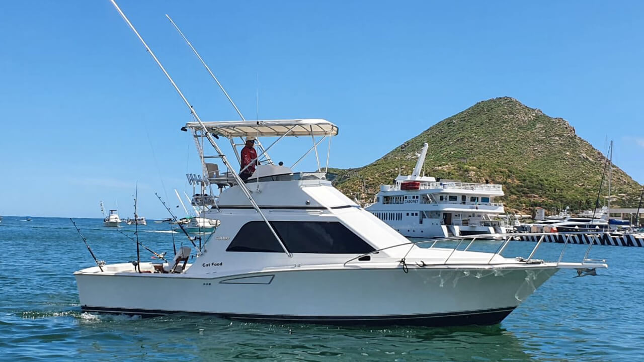 38 sport fishing yacht cabo