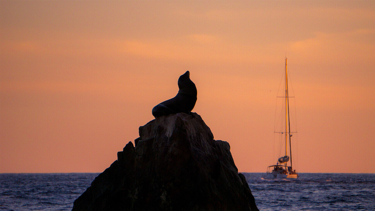 38 ft sailboat cabo
