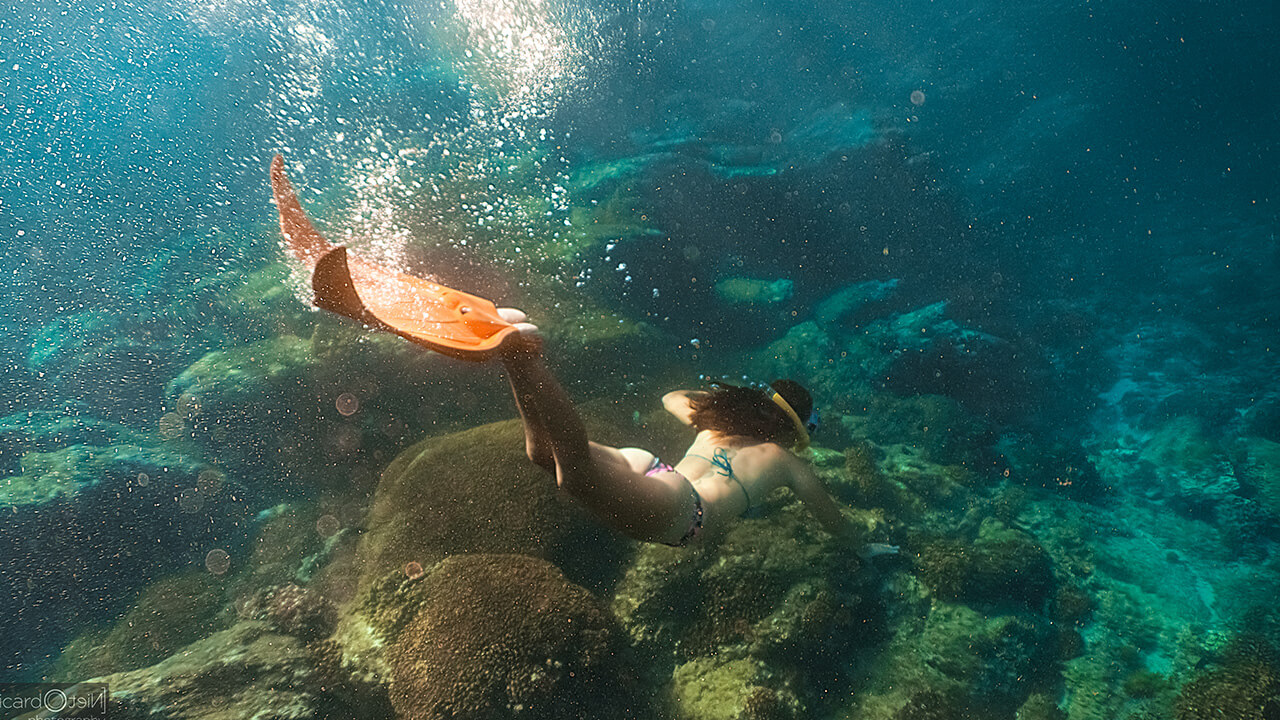 46 sport cruiser yacht cabo